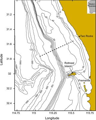 Influence of Storm Events on Chlorophyll Distribution Along the Oligotrophic Continental Shelf Off South-Western Australia